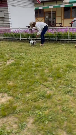 GWどうお過ごしですか☺️の記事動画