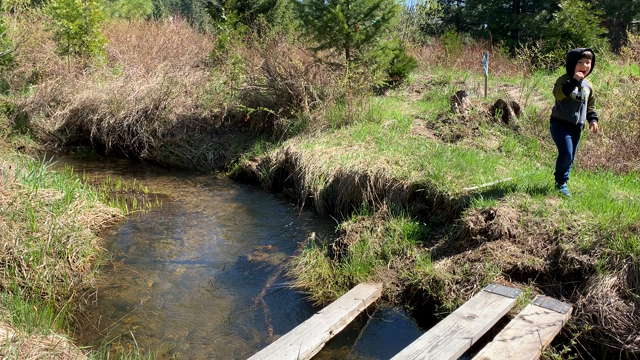 夏日和 in シャスタ山  ☆物件探し☆の記事動画