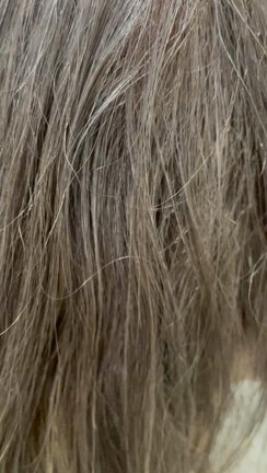 60代髪型白髪染め辞めてグレージュ目指した結果３０歳若くなってしまった件の記事動画