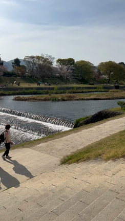 京都旅行１の記事動画