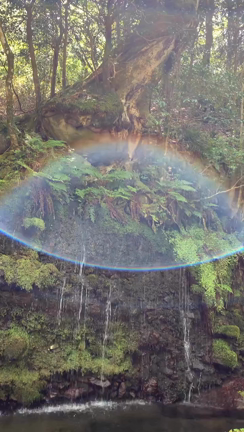 吉兆なエネルギーに逢えました✨の記事動画