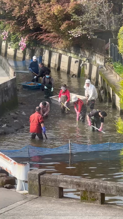 春の河川清掃♪の記事動画
