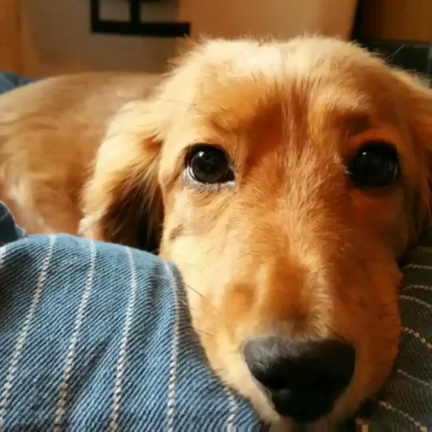 １対１の記事動画