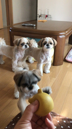 ブログが朝更新したはすが…の記事動画