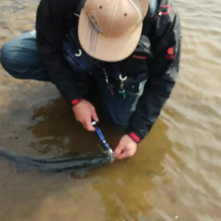 伝心継承の記事動画