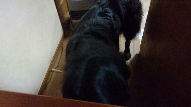 催促方法の記事動画