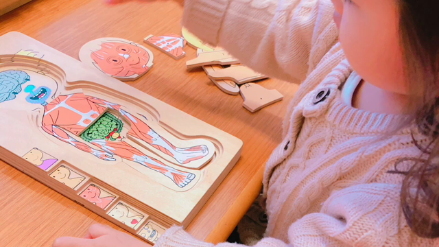 【モンテッソーリ＋α】＋αクラスのvideoができましたの記事動画