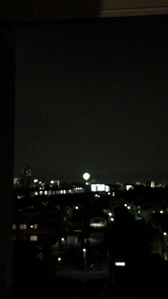 この夏2回目の花火！の記事動画