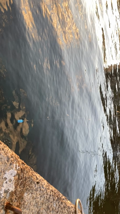 めちゃくちゃ釣れる、魚釣り！！！！！の記事動画