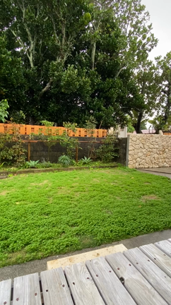 瞑想音源「雨の音」の記事動画