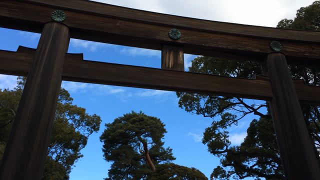 元日の明治神宮の記事動画