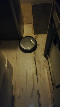 関係者の皆様大笑いの記事動画