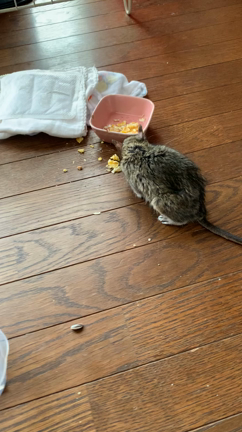 急変の記事動画