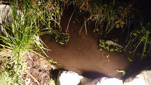 冬至の記事動画