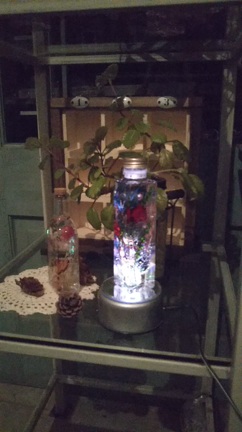 ナイトハーバリウム体験教室の記事動画