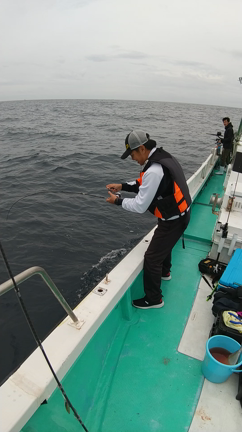 曇り空の中での記事動画