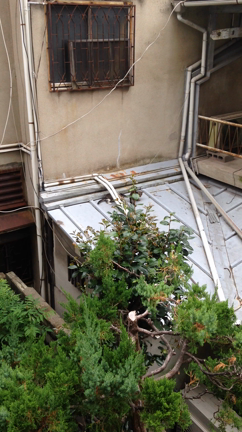 癒しの子猫ニャンが見れなくなる予感がする今日この頃なのですの記事動画