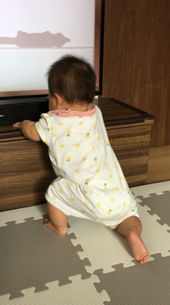 ☆10ヶ月☆の記事動画