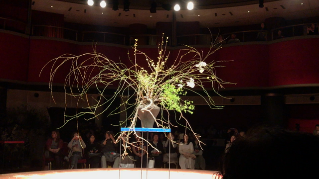 花いけバトルロイヤル2019、観戦！の記事動画