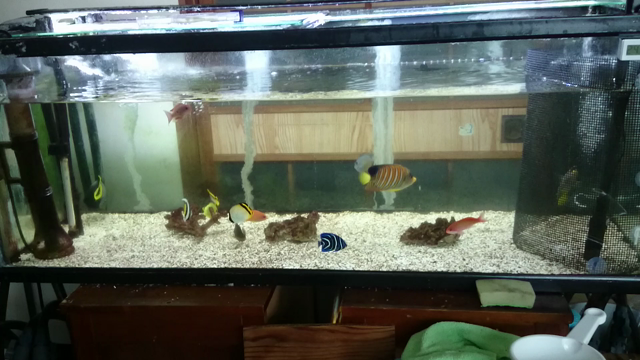 今の所順調の記事動画