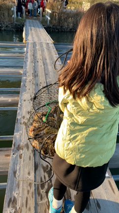 キャンプでココロ貯金の記事動画