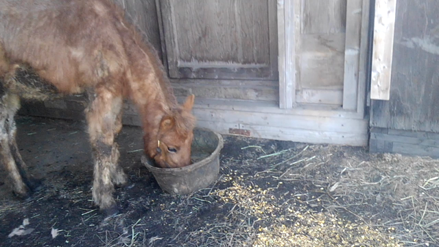 タラリラッタラーの記事動画