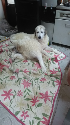 台風接近の記事動画