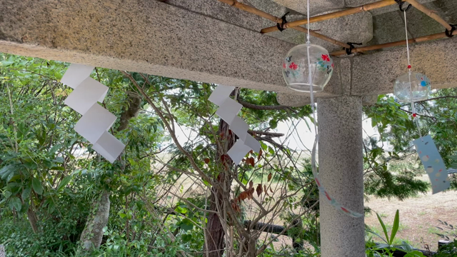 【料理】お弁当作りの記事動画