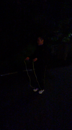 第9回、第10回、第11回しょ～もないチャレンジ企画の記事動画