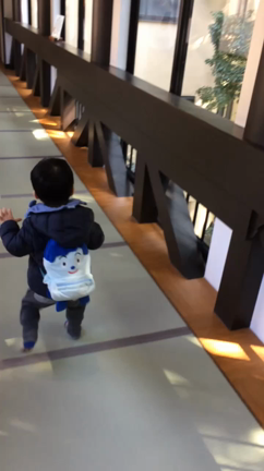 結婚三周年旅行〜♪の記事動画