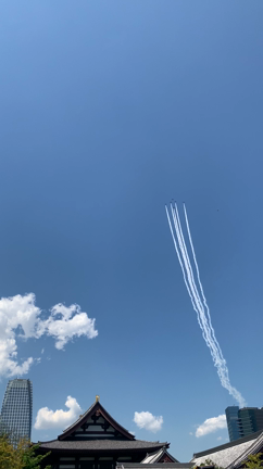 感謝飛行の記事動画