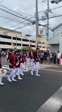 放し飼いは寂しいよの記事動画