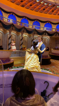 美女と野獣 さすがだなと思った世界観【TDLレポ⑤】の記事動画