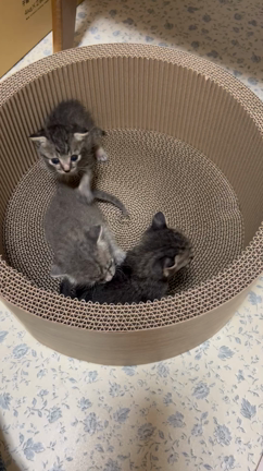 ＊届け！皆さんの思い〜9月その②～の記事動画