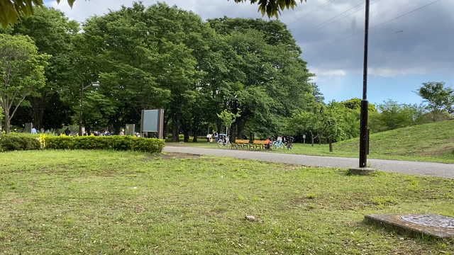 雹（ヒョウ）の記事動画