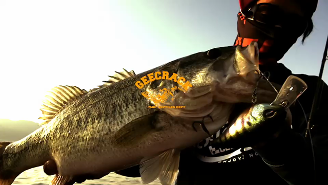 5月14日琵琶湖撮影動画ですの記事動画