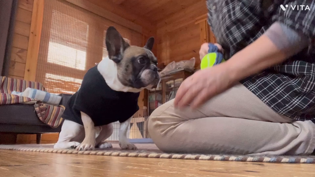 わたしの恋人♡の記事動画