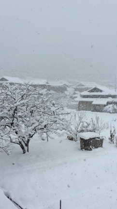 今日だけは丹波も雪国になりましたの記事動画