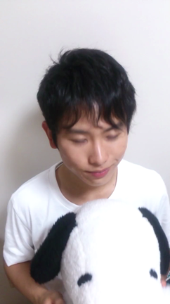 コメント動画(*^^*)の記事動画