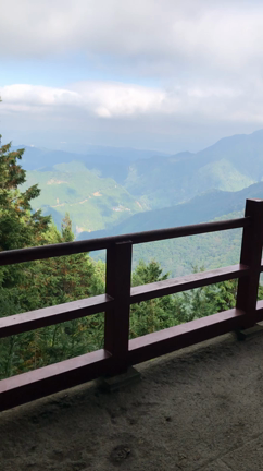 そして今日はの記事動画