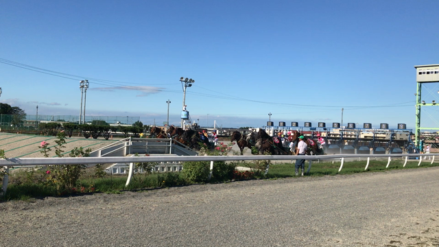 北海道旅行 ビスコット→ばんえい競馬@帯広の記事動画