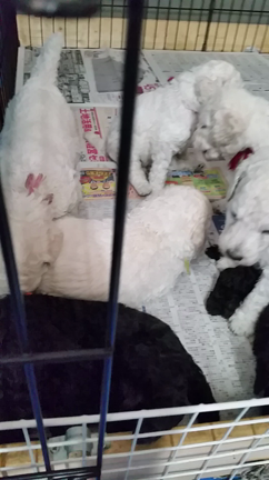 生まれてます。(*^ー^)ノ♪の記事動画