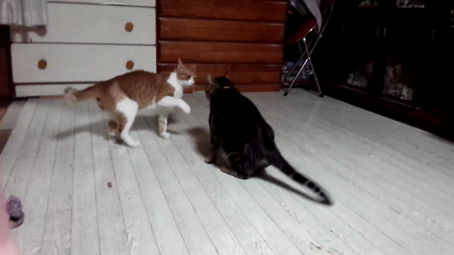 思い出の記事動画