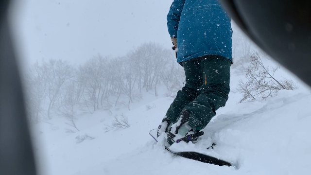 荷物問題の記事動画