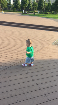 ビデオだよ。歩けるよ。の記事動画