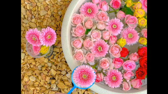 【イベント】いよいよ今週末です！の記事動画