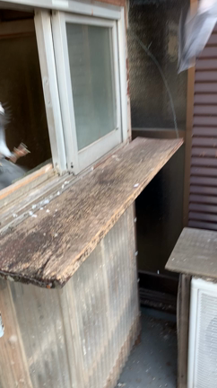 2022/04/08晴れの記事動画