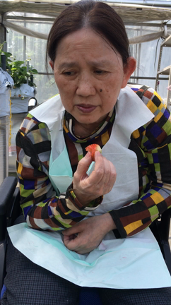 いちご狩りの記事動画