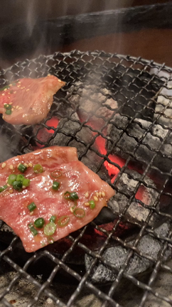 食べまりログ。～書き損ねていた幻の炭火焼♡～の記事動画