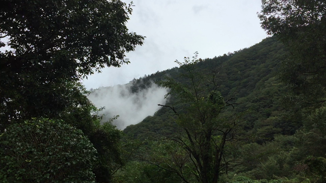 サンリオキャラクター診断キャンペーンの記事動画